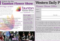 Taunton Flower Show