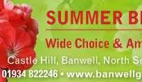 Banwell Garden Centre 4x8 Summer Bedding