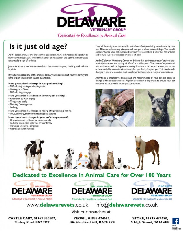 Delaware new template animal services