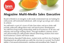 Multi Media Sales Executive