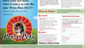 Prize Pets WDP Competition
