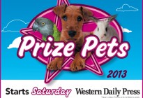 Prize Pets 2013 WDP 10x4