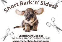 Cheltenham Dog Spa