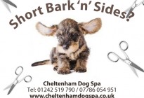 Cheltenham Dog Spa