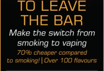 Flavour Vapour 15x2