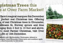 5x8 Over Christmas Tree offer